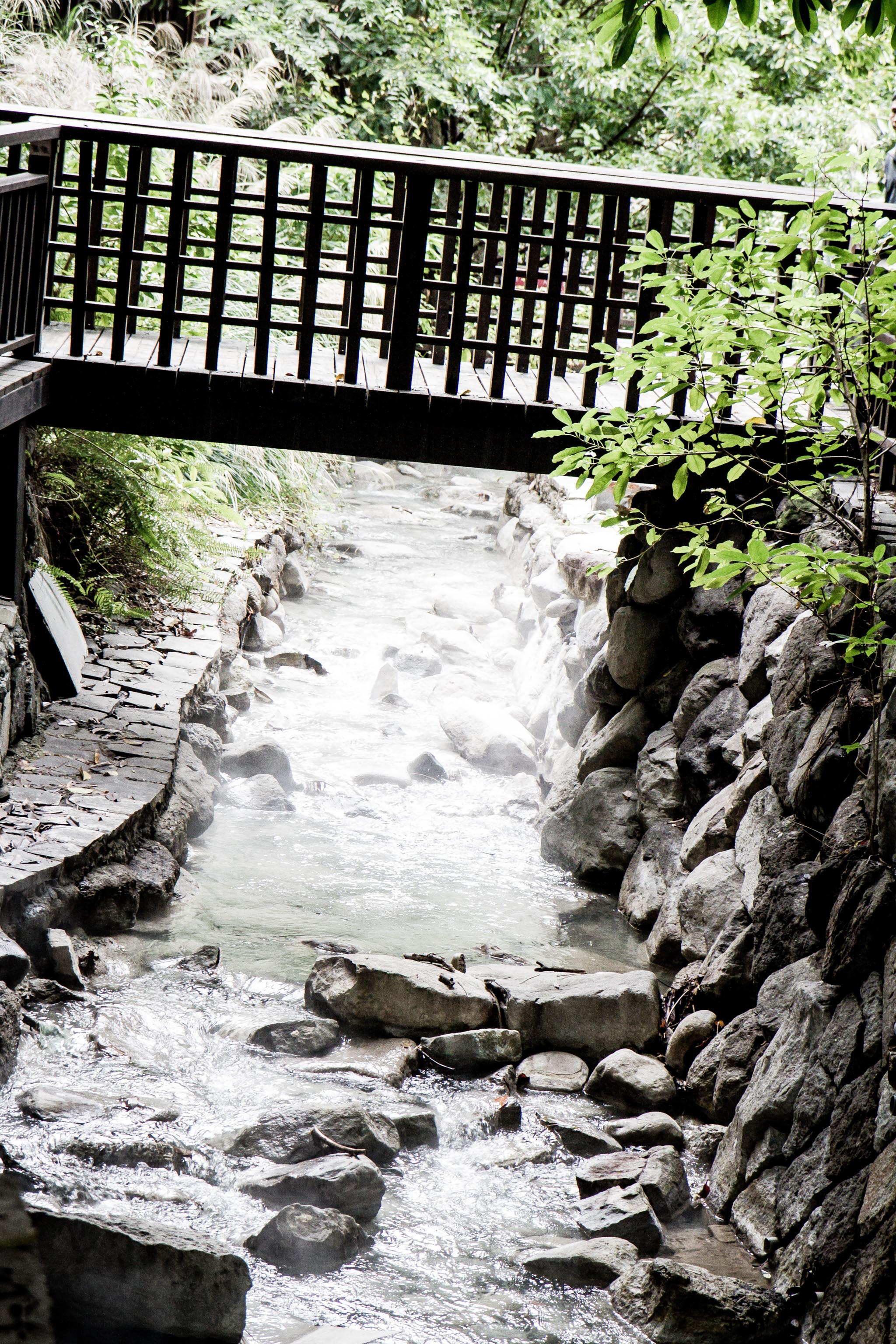 IMG 7361