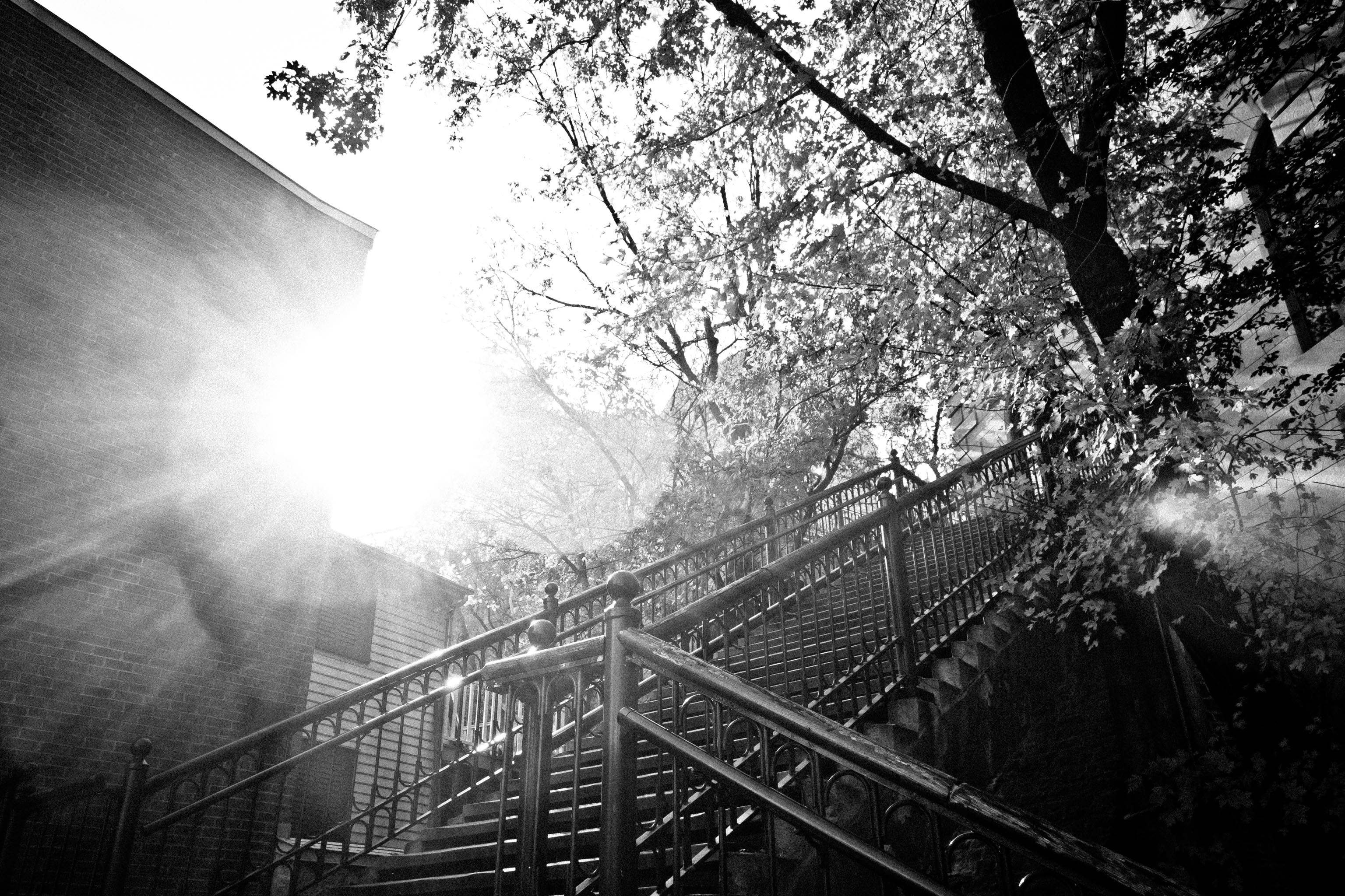 Promenade des gouverneurs